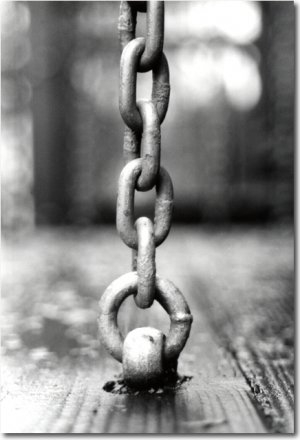 links adarga links